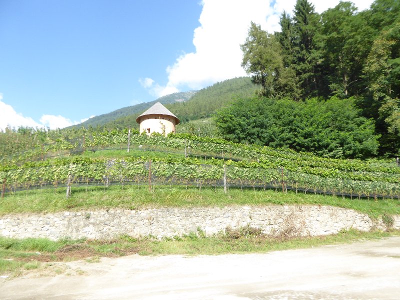 Suedtirol 2016 515
